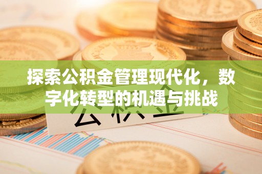 茂县探索公积金管理现代化，数字化转型的机遇与挑战