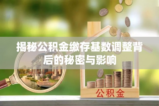 茂县揭秘公积金缴存基数调整背后的秘密与影响