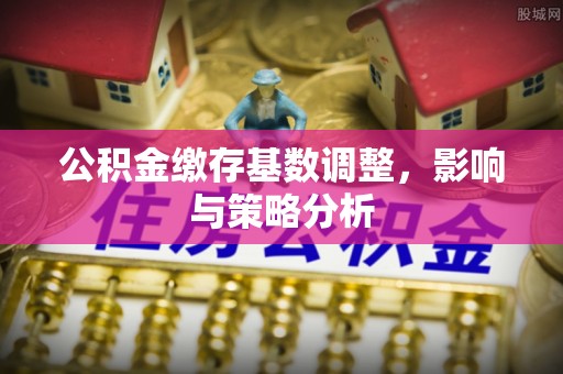 茂县公积金缴存基数调整，影响与策略分析
