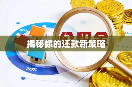 茂县揭秘你的还款新策略