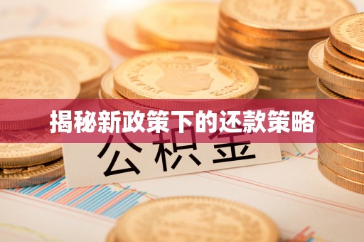 茂县揭秘新政策下的还款策略
