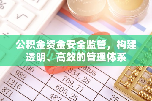 茂县公积金资金安全监管，构建透明、高效的管理体系
