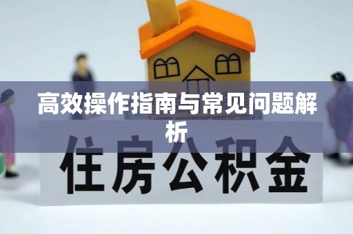 茂县高效操作指南与常见问题解析