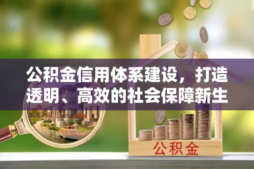 茂县公积金信用体系建设，打造透明、高效的社会保障新生态