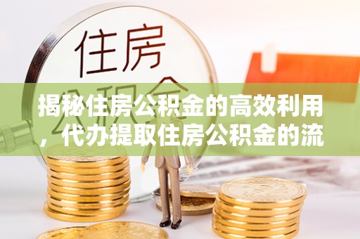 茂县揭秘住房公积金的高效利用，代办提取住房公积金的流程与技巧