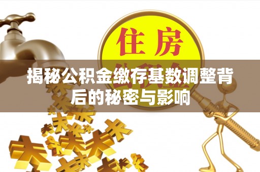 茂县揭秘公积金缴存基数调整背后的秘密与影响