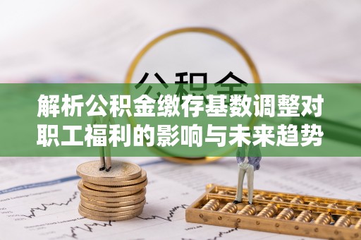 茂县解析公积金缴存基数调整对职工福利的影响与未来趋势