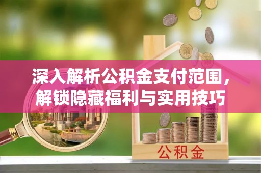 茂县深入解析公积金支付范围，解锁隐藏福利与实用技巧