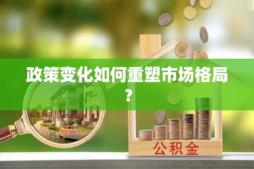 茂县政策变化如何重塑市场格局？