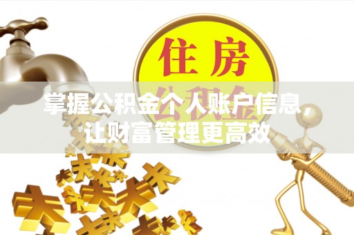 茂县掌握公积金个人账户信息，让财富管理更高效