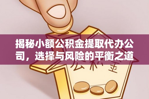 茂县揭秘小额公积金提取代办公司，选择与风险的平衡之道