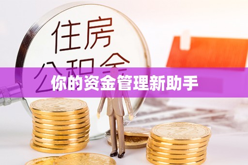茂县你的资金管理新助手