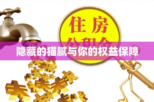 茂县隐藏的猫腻与你的权益保障