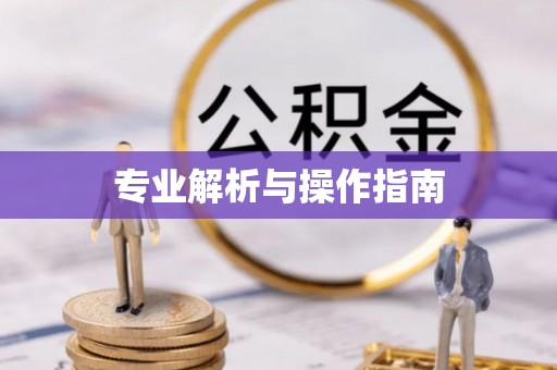 茂县专业解析与操作指南