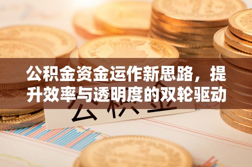 茂县公积金资金运作新思路，提升效率与透明度的双轮驱动