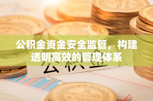 茂县公积金资金安全监管，构建透明高效的管理体系