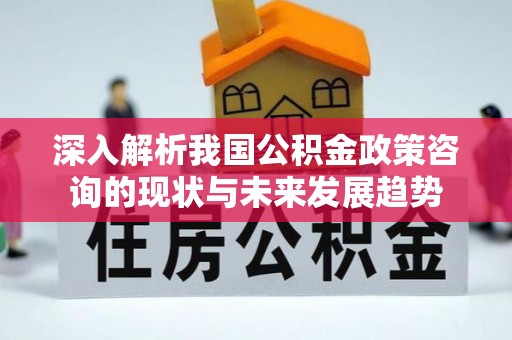 茂县深入解析我国公积金政策咨询的现状与未来发展趋势