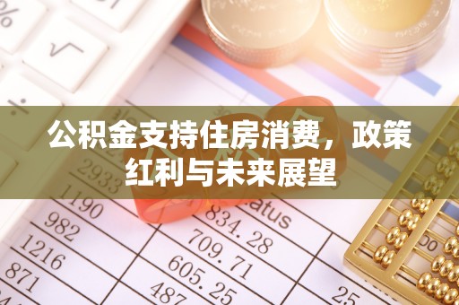 茂县公积金支持住房消费，政策红利与未来展望