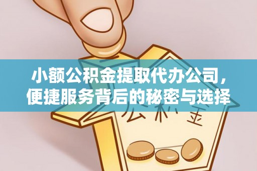 茂县小额公积金提取代办公司，便捷服务背后的秘密与选择指南