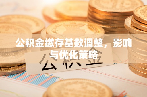 茂县公积金缴存基数调整，影响与优化策略