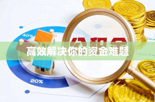 茂县高效解决你的资金难题