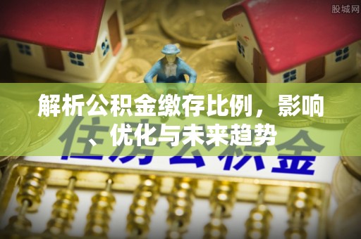 茂县解析公积金缴存比例，影响、优化与未来趋势