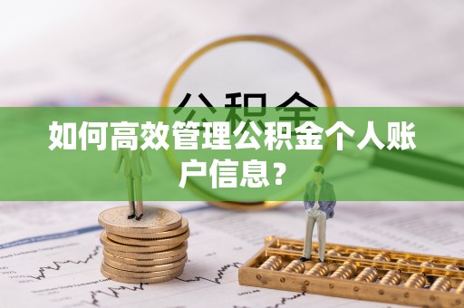 茂县如何高效管理公积金个人账户信息？