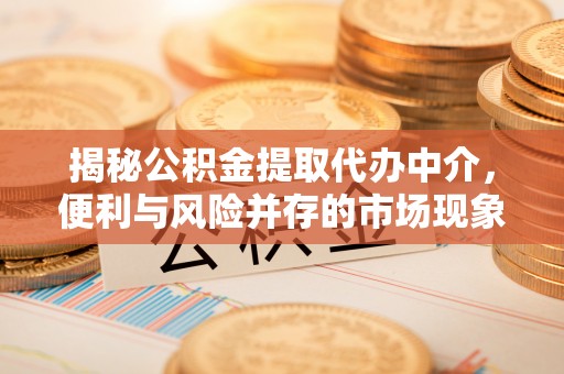 茂县揭秘公积金提取代办中介，便利与风险并存的市场现象