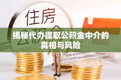 茂县揭秘代办提取公积金中介的真相与风险