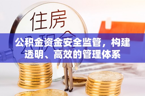 茂县公积金资金安全监管，构建透明、高效的管理体系