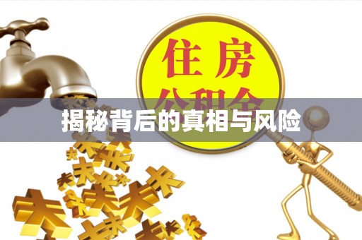 茂县揭秘背后的真相与风险
