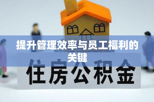 茂县提升管理效率与员工福利的关键