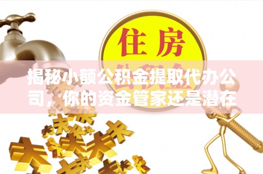 茂县揭秘小额公积金提取代办公司，你的资金管家还是潜在陷阱？