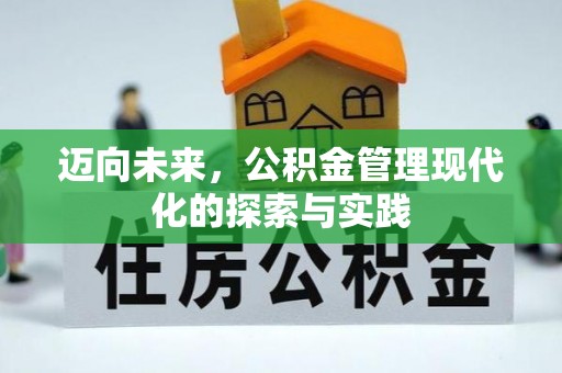 茂县迈向未来，公积金管理现代化的探索与实践