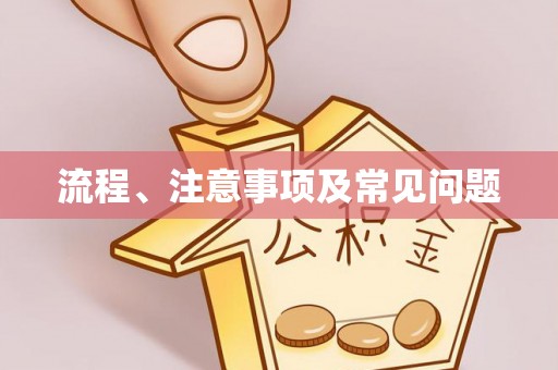 茂县流程、注意事项及常见问题