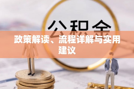 茂县政策解读、流程详解与实用建议