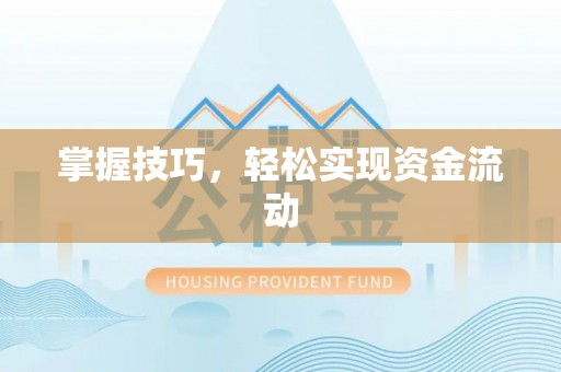 茂县掌握技巧，轻松实现资金流动