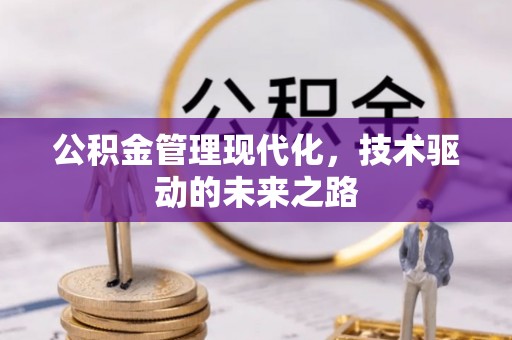 茂县公积金管理现代化，技术驱动的未来之路