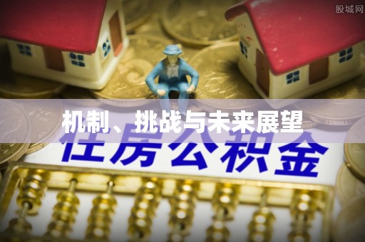 茂县机制、挑战与未来展望